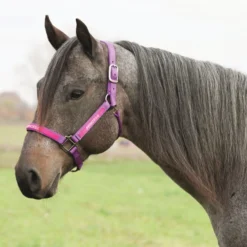 Weaver Leather Weaver Embroidered Nylon Halter