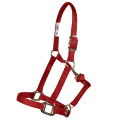Weaver Leather Weaver Embroidered Nylon Halter -Schneiders Shop 35039 red