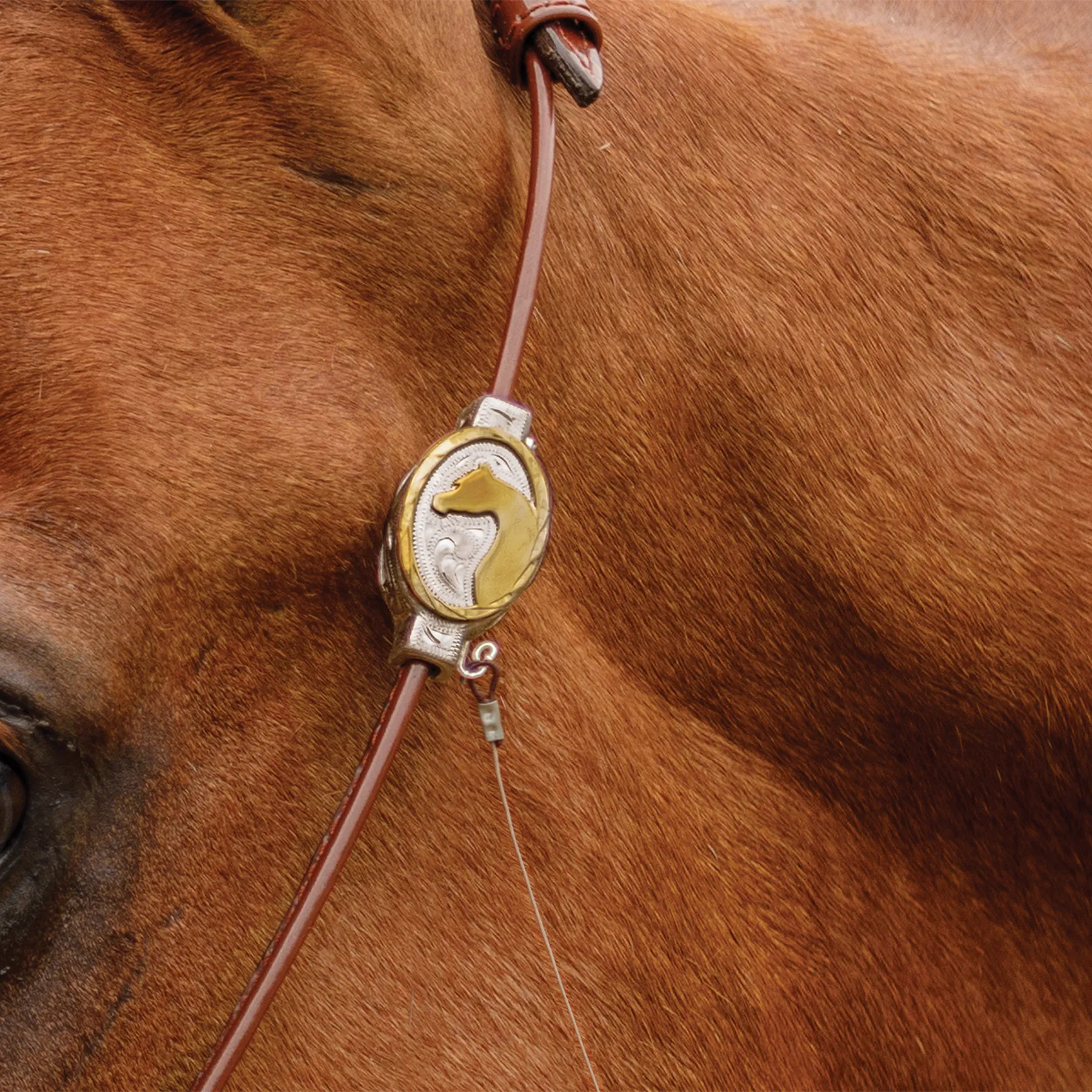 Billy Royal® Comfort Concho Original Thread 6 Billy Royal® Comfort Concho Original Thread - Image 6