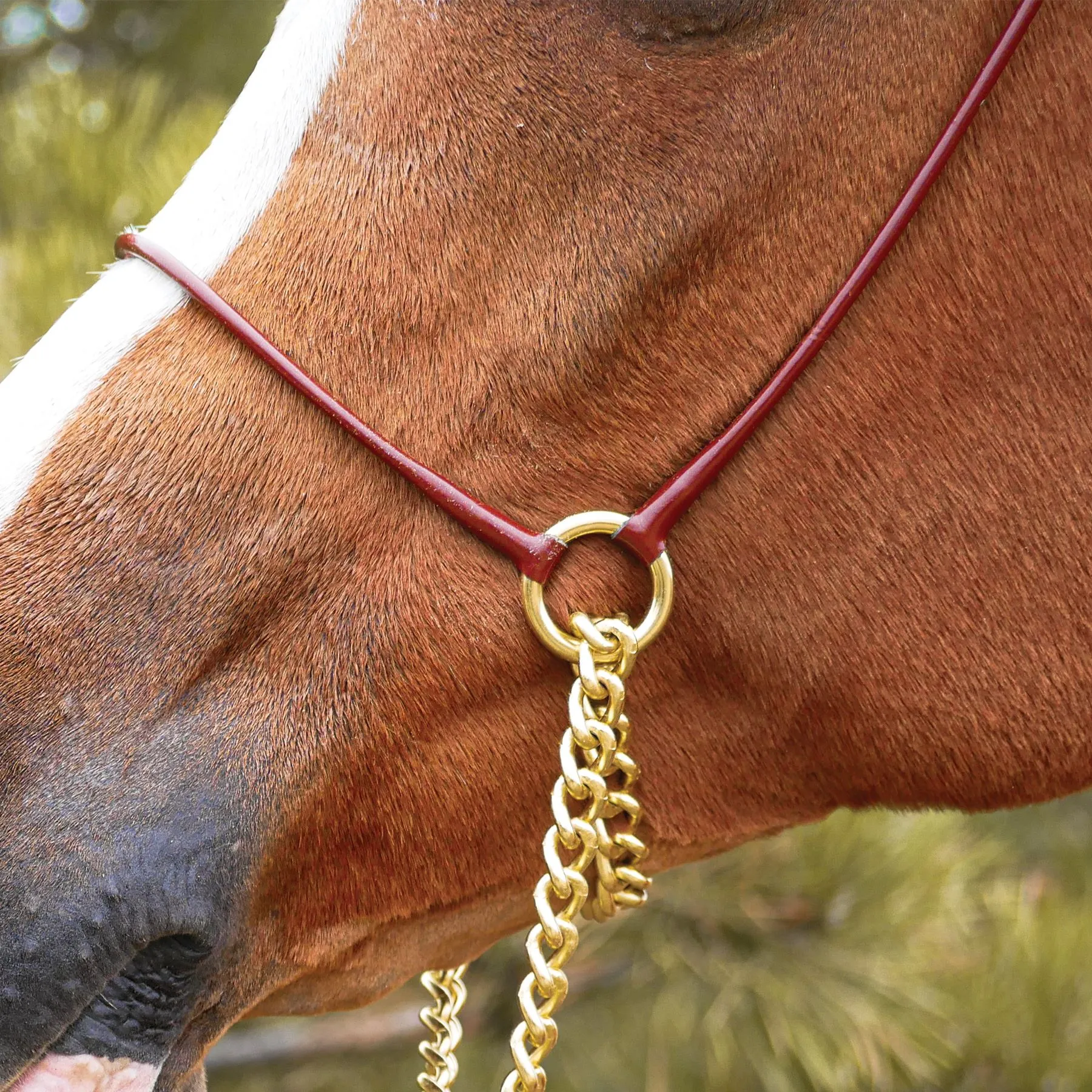 Billy Royal® Comfort Concho Original Thread 7 Billy Royal® Comfort Concho Original Thread - Image 7