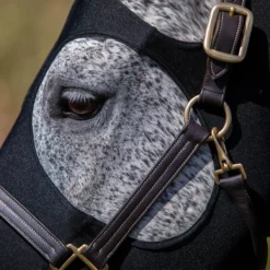 Dura-Tech® Magnetic Slicker Hood -Schneiders Shop 37367 alt e