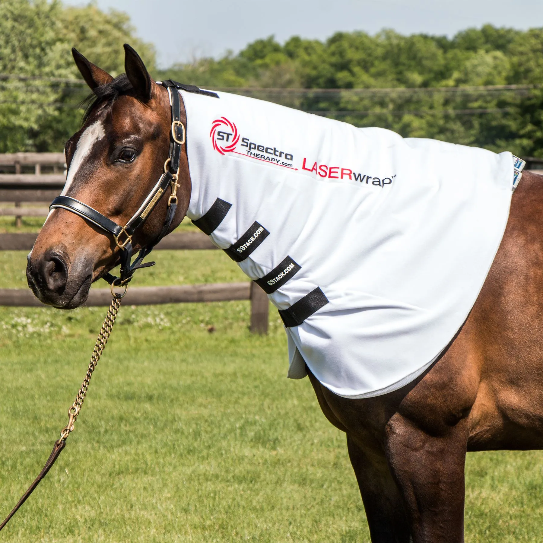 Wearable LASERwrap™ - Neck Wrap 2 Wearable LASERwrap™ - Neck Wrap - Image 2