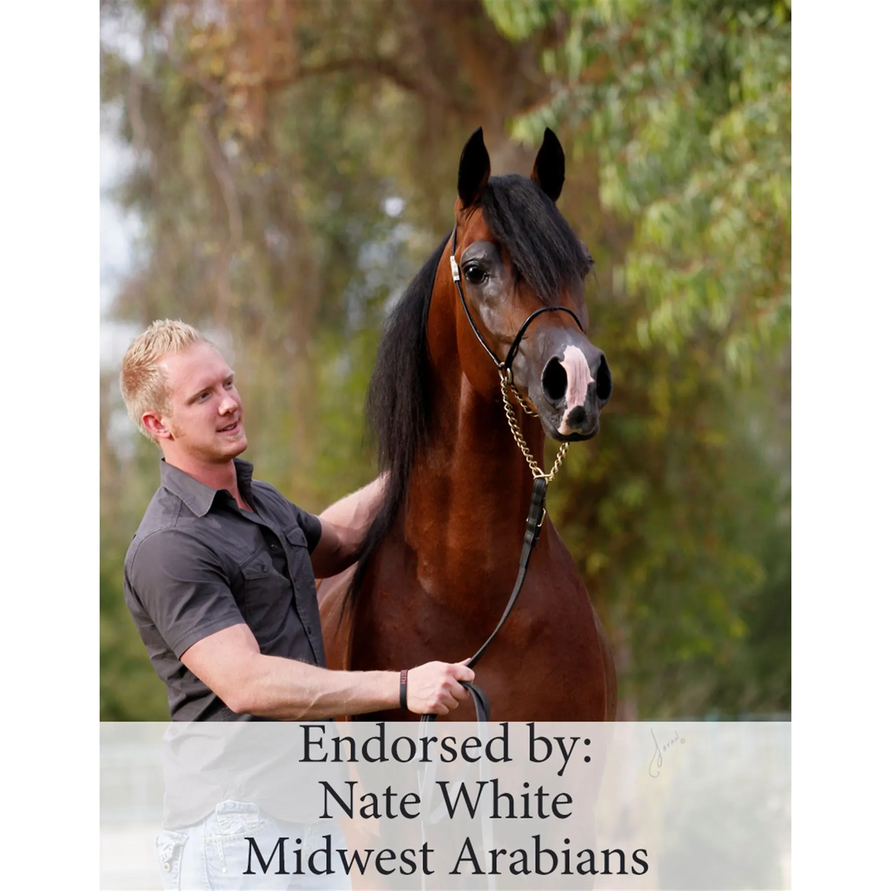 Wearable LASERwrap™ - Neck Wrap 5 Wearable LASERwrap™ - Neck Wrap - Image 5