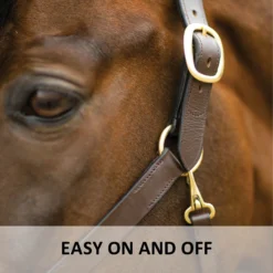 Premier® Premier Lancaster Leather Halter -Schneiders Shop 37511 feature c overlay