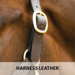 Premier® Premier Lancaster Leather Halter -Schneiders Shop 37511 feature d overlay