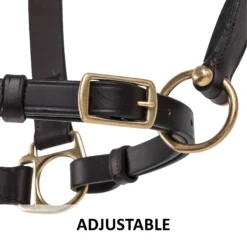 Premier® Premier Lancaster Leather Halter -Schneiders Shop 37511 feature e overlay