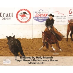 Lux Ceramic Therapy Quick-Wrap Horse Wraps For Horses -Schneiders Shop 37783 prof a overlay