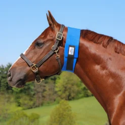 Dura-Tech® Superior Narrow Throat Sweat