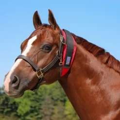 Dura-Tech® All Day Throatlatch Wrap