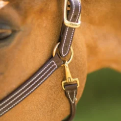 Walsh™ British Triple Stitched Leather Halter -Schneiders Shop 38291 alt c
