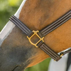 Walsh™ British Triple Stitched Leather Halter -Schneiders Shop 38291 alt d