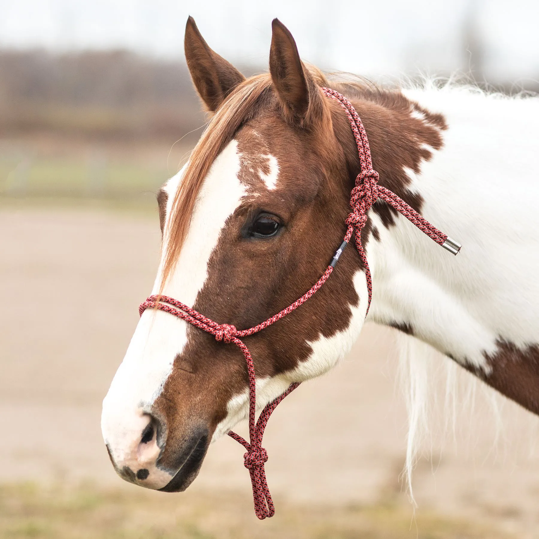 Weaver Leather Weaver® Silvertip® No. 95 Rope Halter 1 Weaver Leather Weaver® Silvertip® No. 95 Rope Halter