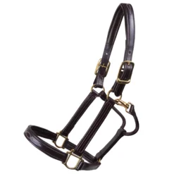 Walsh™ Signature Padded Leather Halter -Schneiders Shop 38852 havanahavana