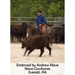 Equine Copper Lycra Bellyband Sheet -Schneiders Shop 38893 prof b overlay