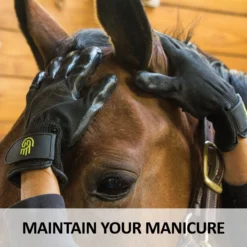 HandsOn® Grooming Gloves -Schneiders Shop 38917 feature d overlay