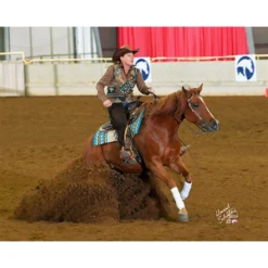 Billy Royal® Casper Arabian Silver Show Halter 13 Billy Royal® Casper Arabian Silver Show Halter -Schneiders Shop 40003 prof a