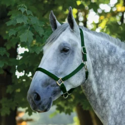 Dura-Tech® Draft Horse Nylon Breakaway Turnout Halter -Schneiders Shop 40136 huntergreen