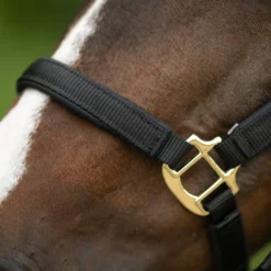 Dura-Tech® Deluxe Fully Padded 3/4" Nylon Halter -Schneiders Shop 40249 alt c