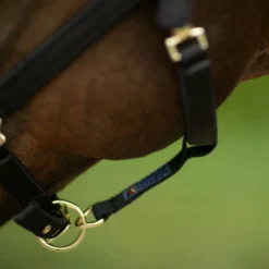 Dura-Tech® Deluxe Fully Padded 3/4" Nylon Halter -Schneiders Shop 40249 alt d