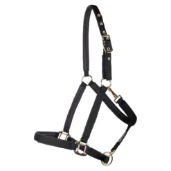 Dura-Tech® Deluxe Fully Padded 3/4" Nylon Halter -Schneiders Shop 40249 black