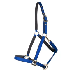 Dura-Tech® Deluxe Fully Padded 3/4" Nylon Halter -Schneiders Shop 40249 royal