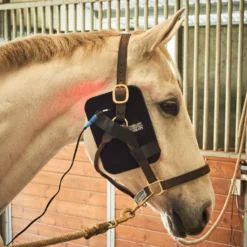 Equine Light Therapy® Small Kit -Schneiders Shop 40302 alt c