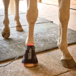 Equine Light Therapy® Small Kit -Schneiders Shop 40302 alt d