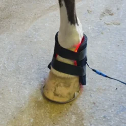 Equine Light Therapy® Small Kit -Schneiders Shop 40302 alt e