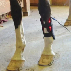Equine Light Therapy® Small Kit -Schneiders Shop 40302 alt f