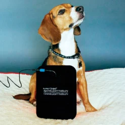 Equine Light Therapy® Small Kit -Schneiders Shop 40302 alt g