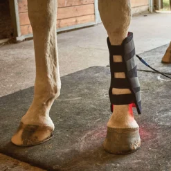 Equine Light Therapy® Medium Kit -Schneiders Shop 40303 alt b
