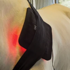 Equine Light Therapy® Medium Kit -Schneiders Shop 40303 alt c