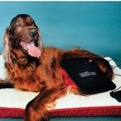 Equine Light Therapy® Medium Kit -Schneiders Shop 40303 alt e