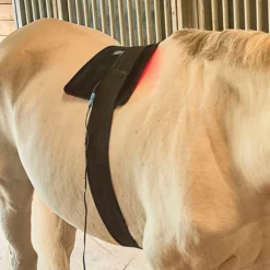 Equine Light Therapy® Large Kit -Schneiders Shop 40304 alt c