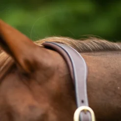 Joseph Sterling® Comfort Crown Leather Halter -Schneiders Shop 40504 alt b