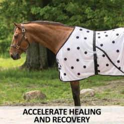 Schneiders Shop -Schneiders Shop 40509 feature a overlay