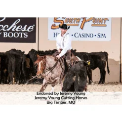 Equine Copper Quick Wraps 19 Equine Copper Quick Wraps -Schneiders Shop 40570 prof c overlay