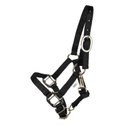 Dura-Tech Miniature Double Ply Nylon Halter For Horses -Schneiders Shop 40760 black
