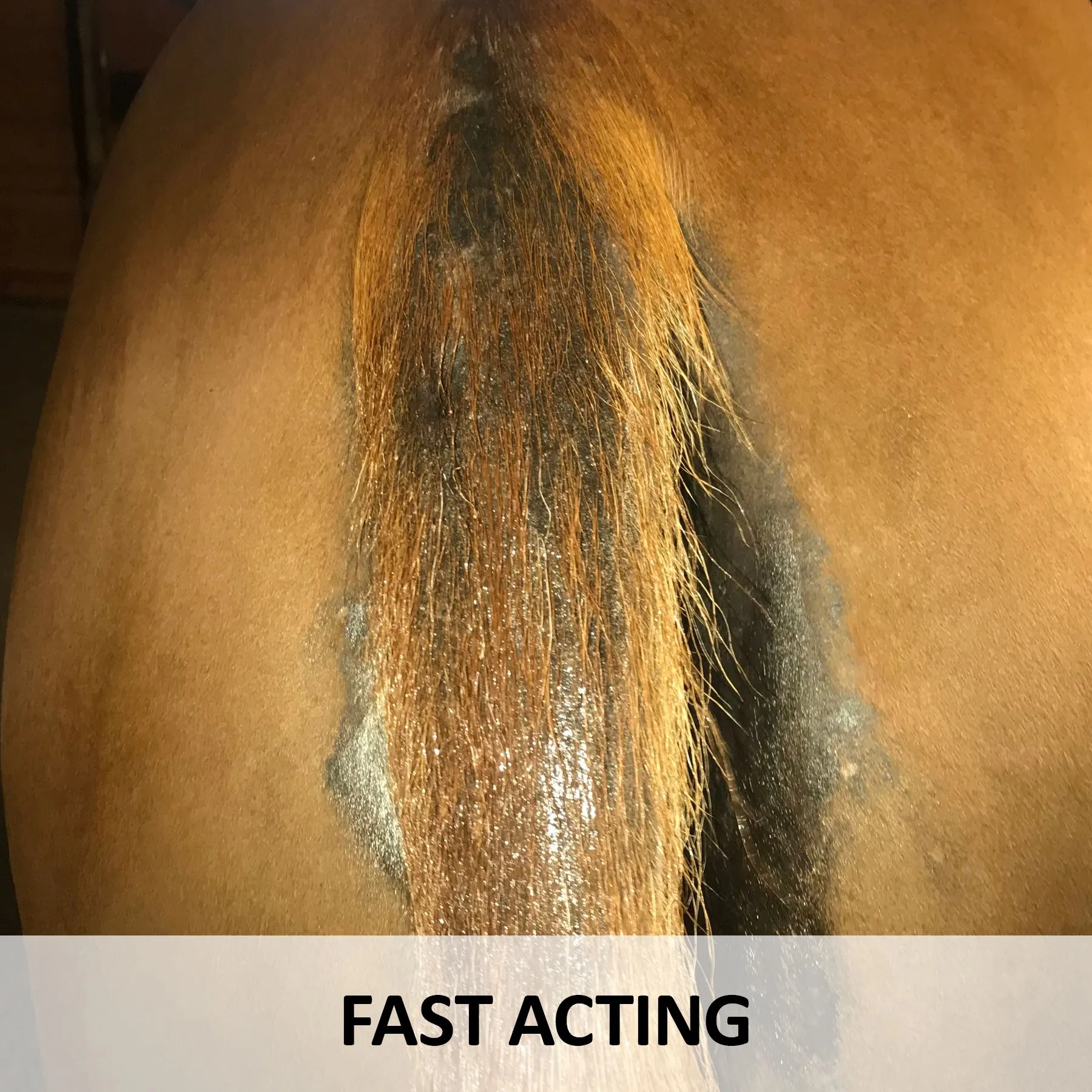 Ultra Tail Revive & Restore Spray 32oz. 4 Ultra Tail Revive & Restore Spray 32oz. - Image 4