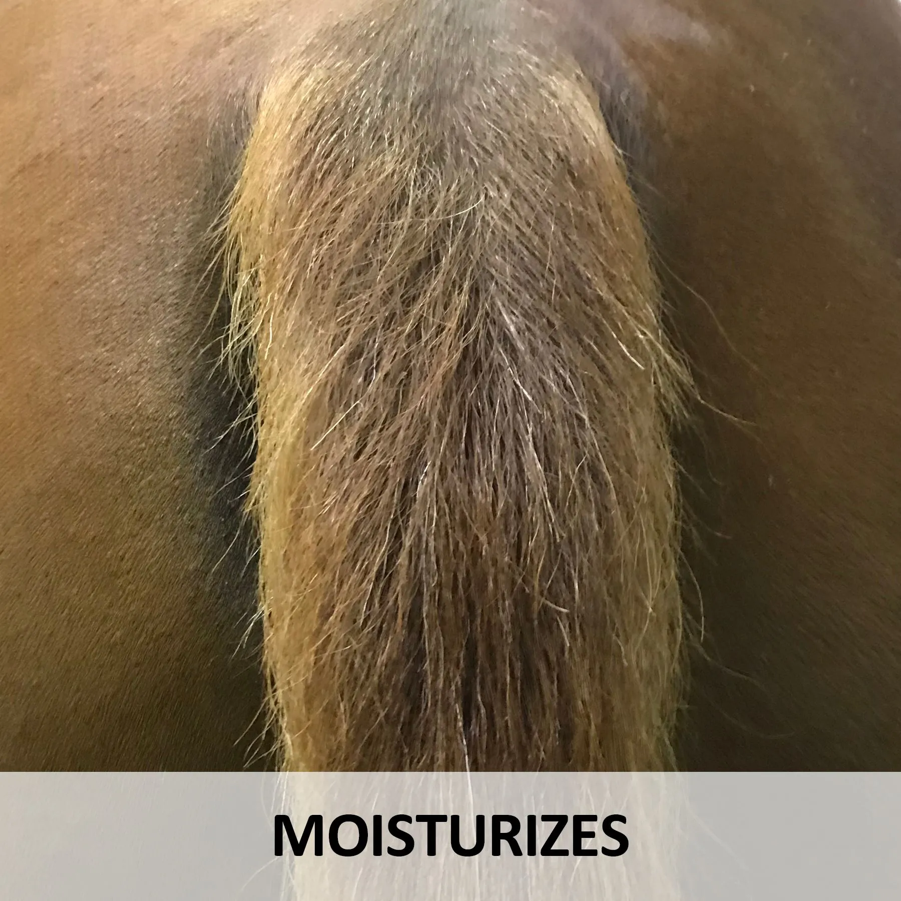 Ultra Tail Revive & Restore Spray 32oz. 5 Ultra Tail Revive & Restore Spray 32oz. - Image 5