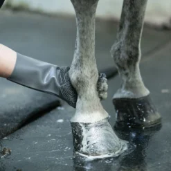 Schneiders® Gel Grooming And Bathing Gloves -Schneiders Shop 41130 alt g