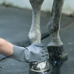 Schneiders® Gel Grooming And Bathing Gloves -Schneiders Shop 41130 alt h