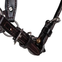 Billy Royal® Sydney Silver Show Halter -Schneiders Shop 41196 alt b