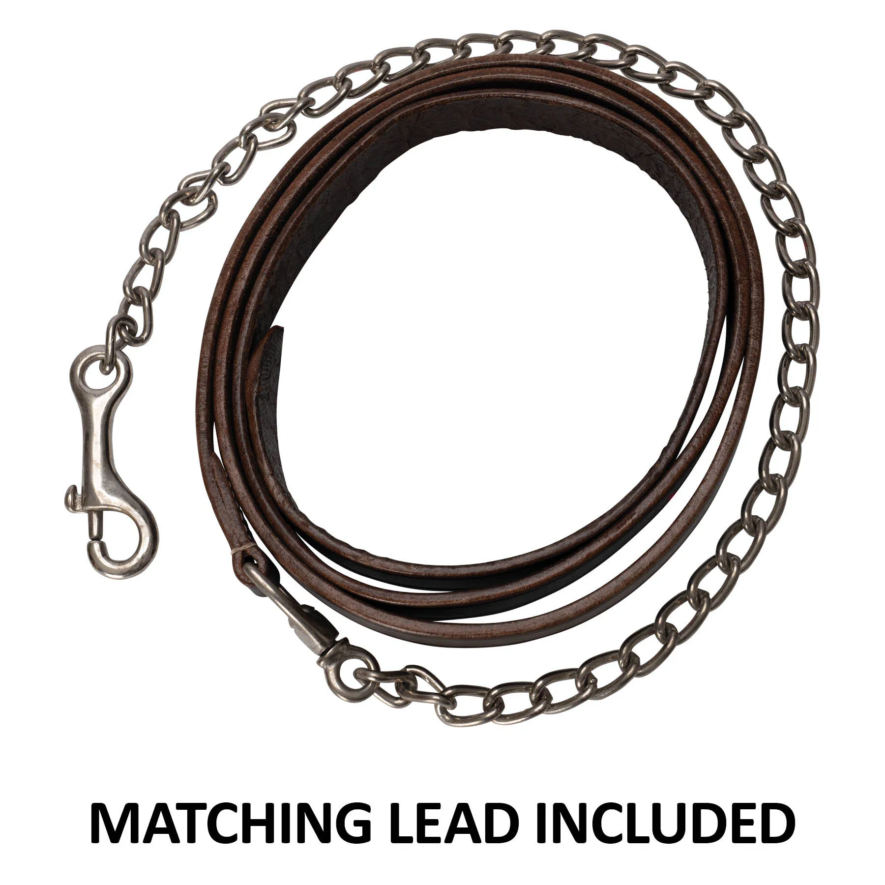 Double S Caroline Show Halter With Lead 5 Double S Caroline Show Halter With Lead - Image 5