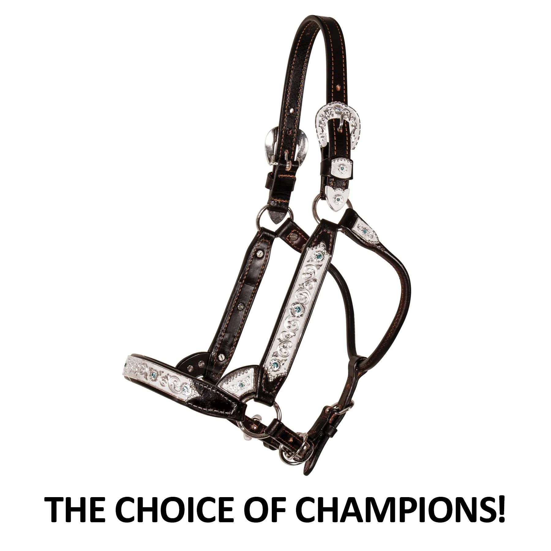 Billy Royal® Grand Slam II Classic Show Halter 2 Billy Royal® Grand Slam II Classic Show Halter - Image 2