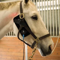 Equine Light Therapy® Itty-Bitty -Schneiders Shop 41981 alt b