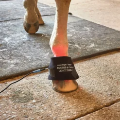 Equine Light Therapy® Itty-Bitty -Schneiders Shop 41981 alt d