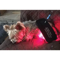 Equine Light Therapy® Itty-Bitty -Schneiders Shop 41981 alt e