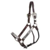 Double S Beaded Silver Plated Show Halter With Lead