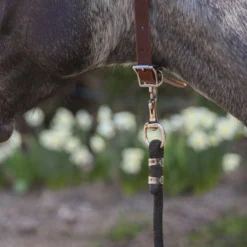 Billy Royal Leather ID Collar -Schneiders Shop 42784 alt d